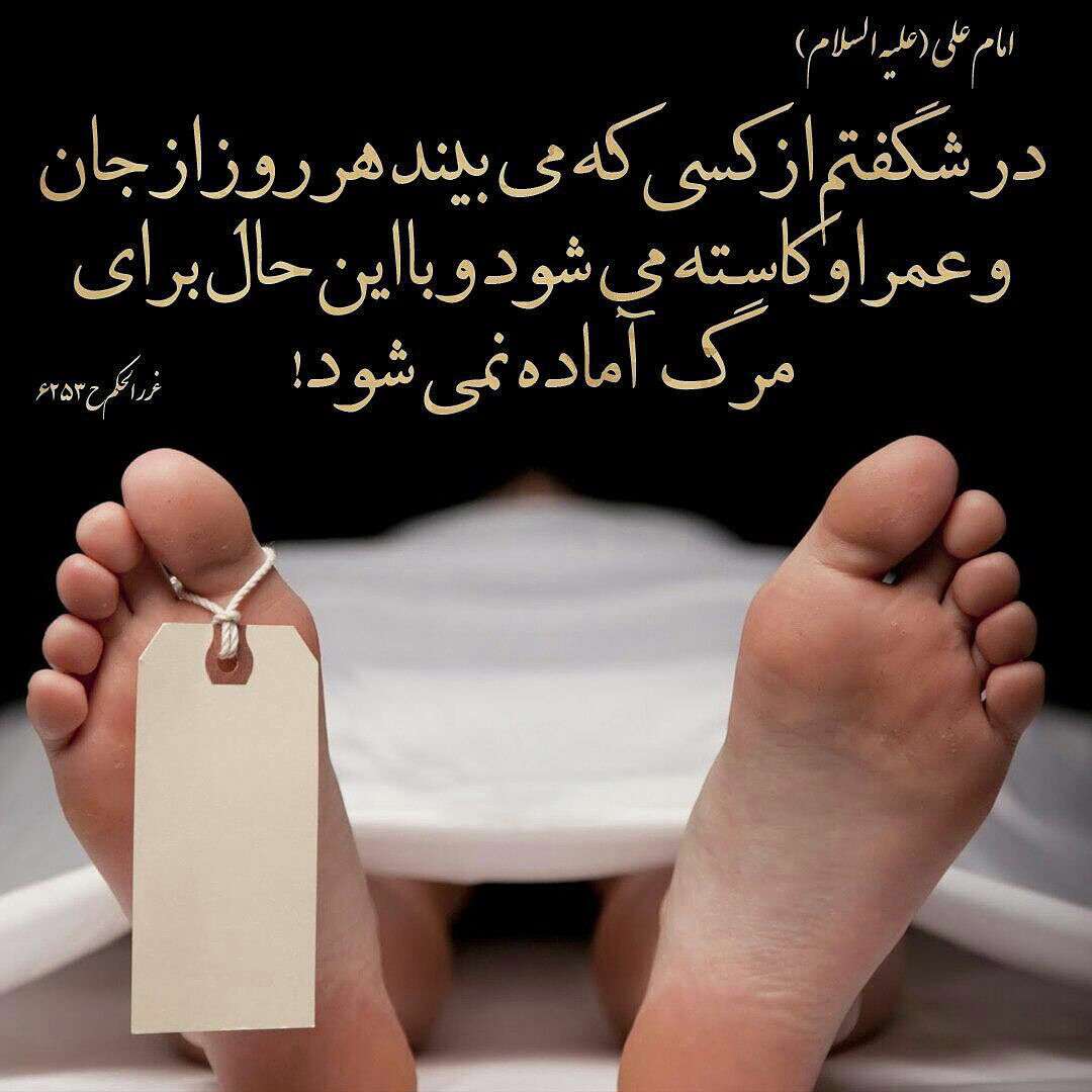 حدیثی از امام علی در مورد مرگ